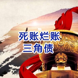 蒋湖农场要债公司