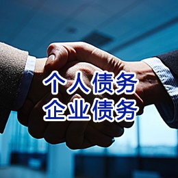 蒋湖农场追债公司